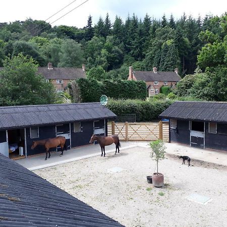 Crockers Farm Βίλα Ντόρκινγκ Εξωτερικό φωτογραφία